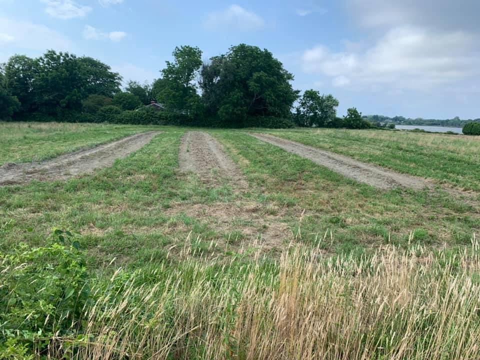 147697355 3944629042215947 5021379171850743099 N