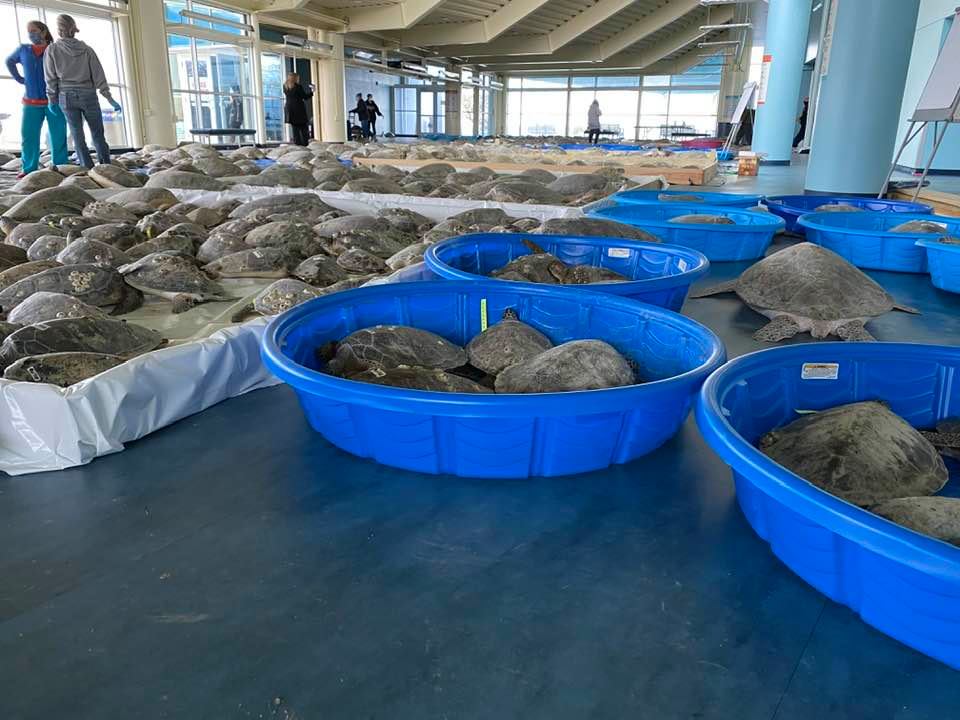 150695684 10208362584417630 8512625181032166533 N