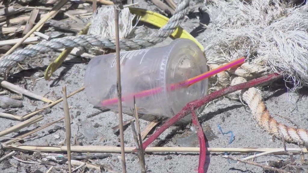 Ri State Senate Tables Five Environmental Bills For Further Study