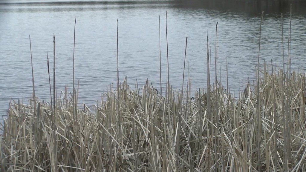 Uri Watershed Watch: Ri Water Quality Changed In 2020 During Drought, Pandemic