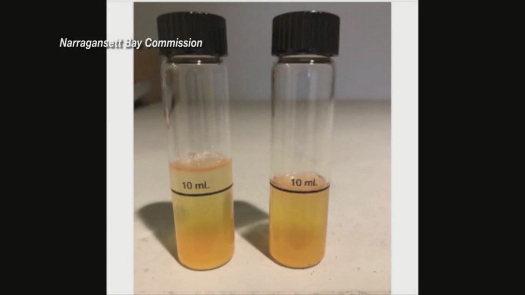Woonasquatucket River Water Test Results Provide Encouraging News