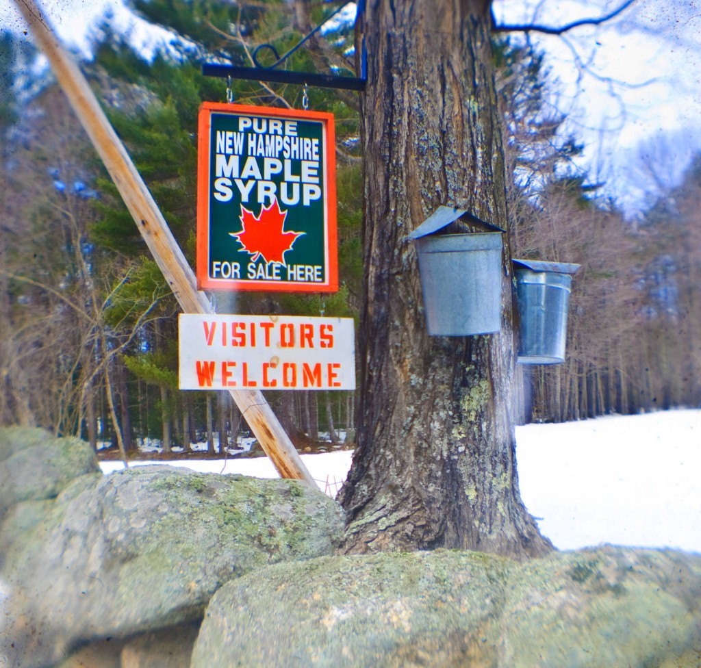 131652934 3554355347945152 1119364665017987195 O