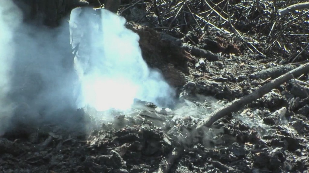 Late Winter & Early Spring Are Brush Fire Season In Southern New England