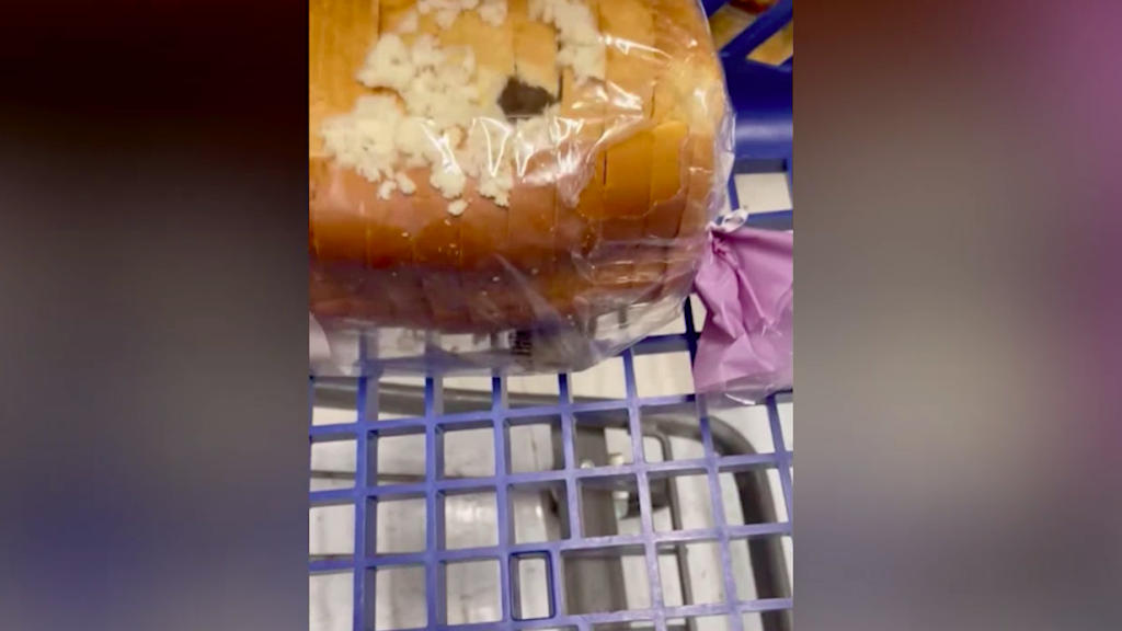 Mouse In Bread Price Rite