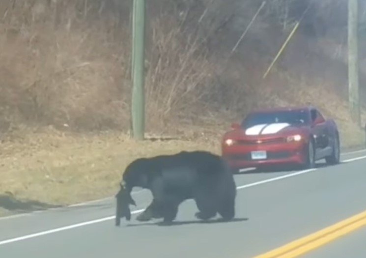 Screenshot 2021 03 30 123157