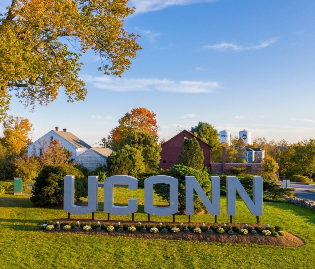 164000486 4326904453986442 6259908166963920955 N