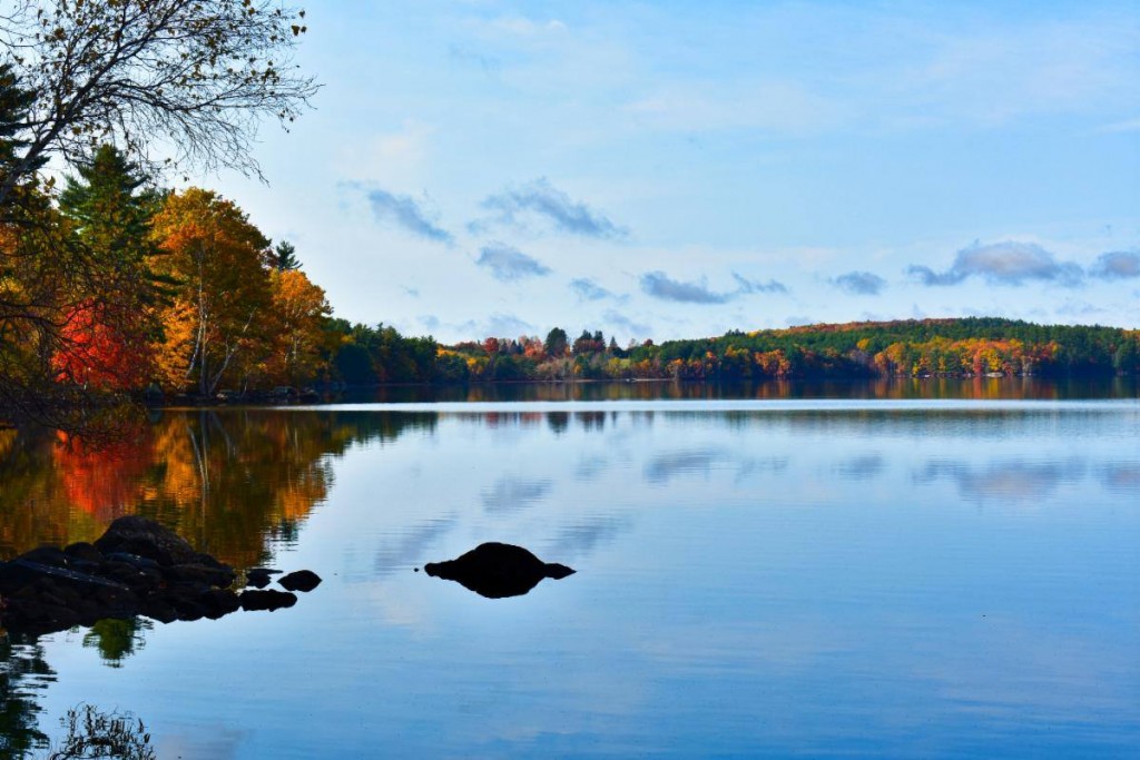 126174672 3900482159998326 7895220072574990475 N