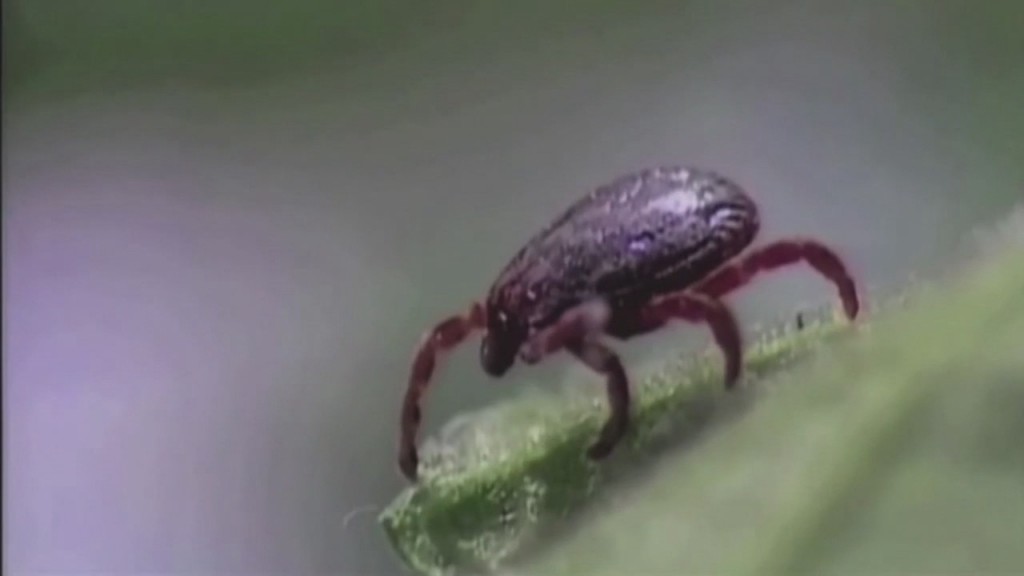Injection That Could Prevent Lyme Disease Undergoing Clinical Trials
