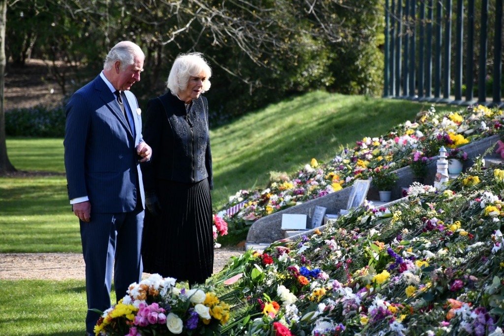 174335526 4129290457092753 202346877509316606 N