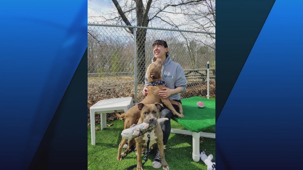 Pick Of The Litter: Meet Hazel & Diamond