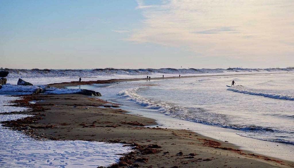 147251374 3655562371164546 6333361258819670530 N