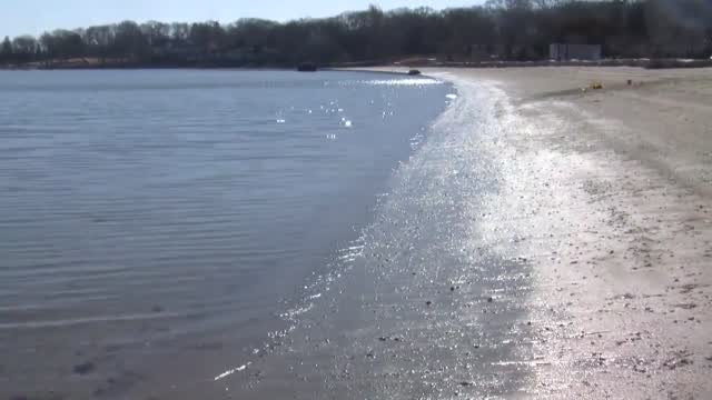 Ri Beach Passes 2021