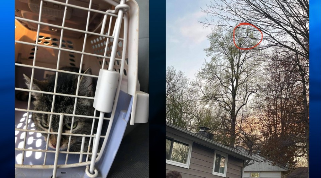 Screenshot 2021 04 06 161646