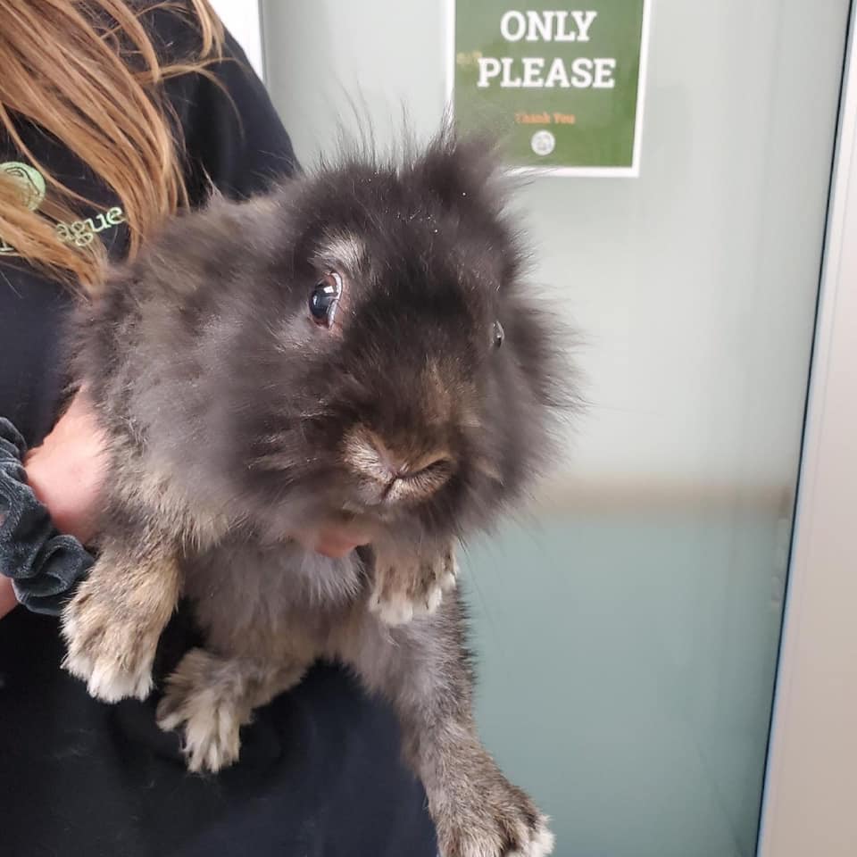 189725365 3984309974939122 1394584965826128812 N