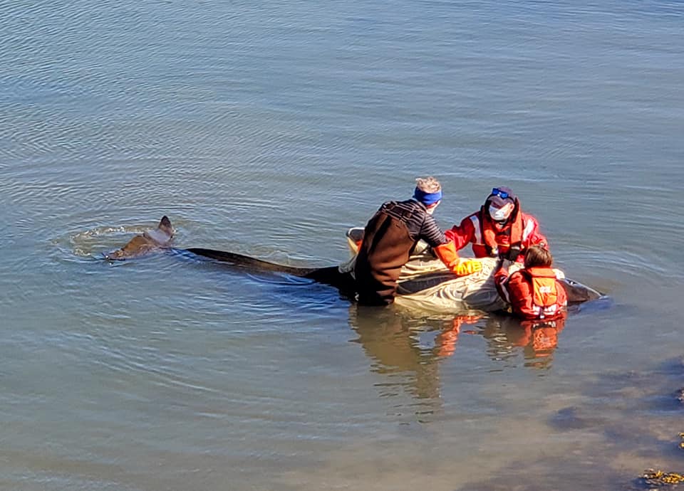 180779809 10158469354924830 7001660308680793634 N