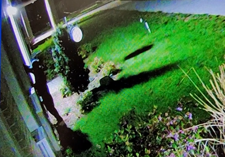 Lincoln Town Hall Break In