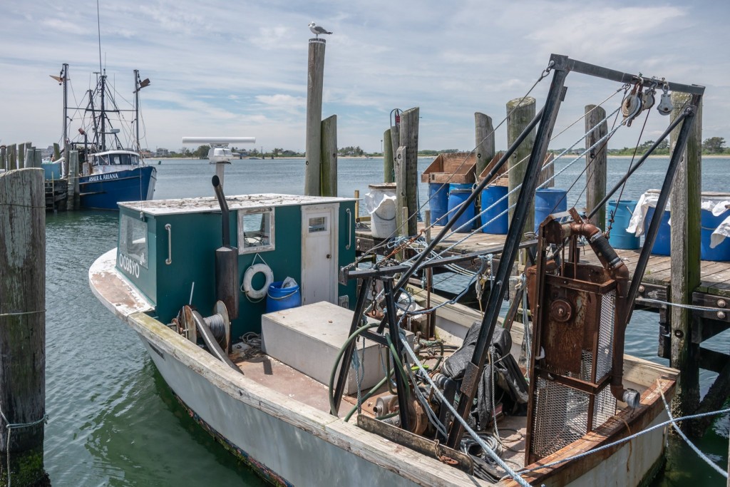 119217218 2696443343929539 539980757592903330 N