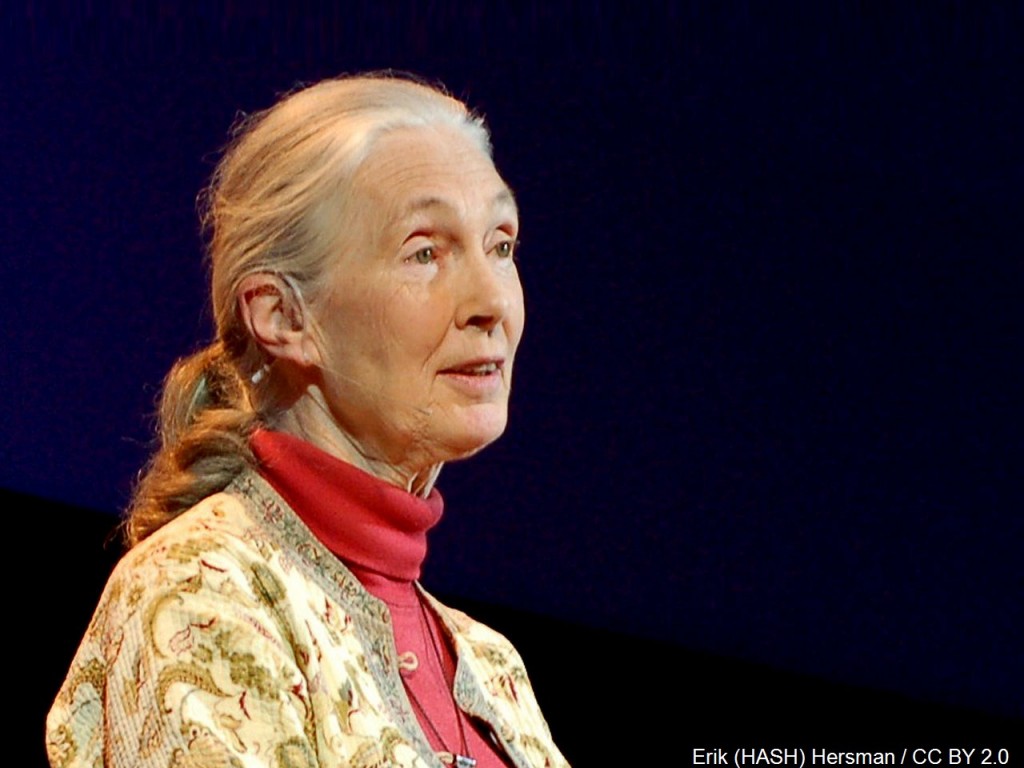 Mgn 1280x960 10301p00 Vpbaz