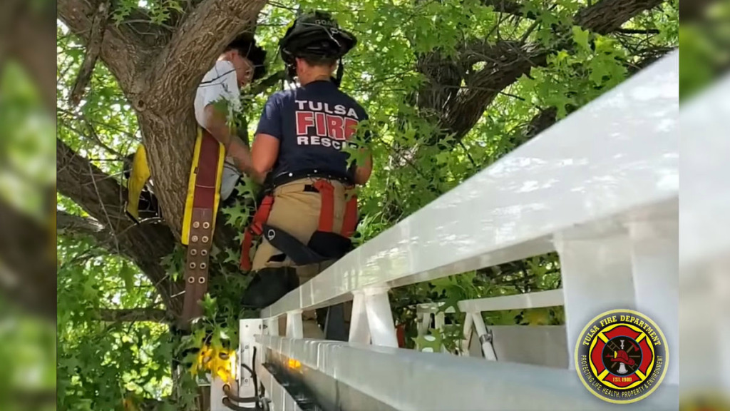 Tulsa Cat Man Rescue