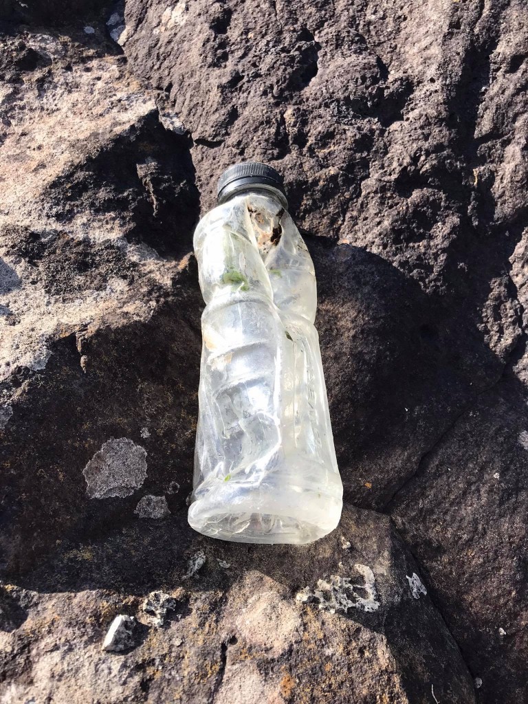 190719569 213134983968502 5206077236874896190 N 1