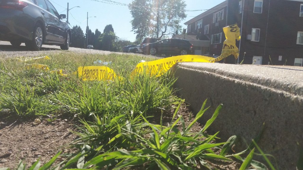 Resized 20210624 165412 9586