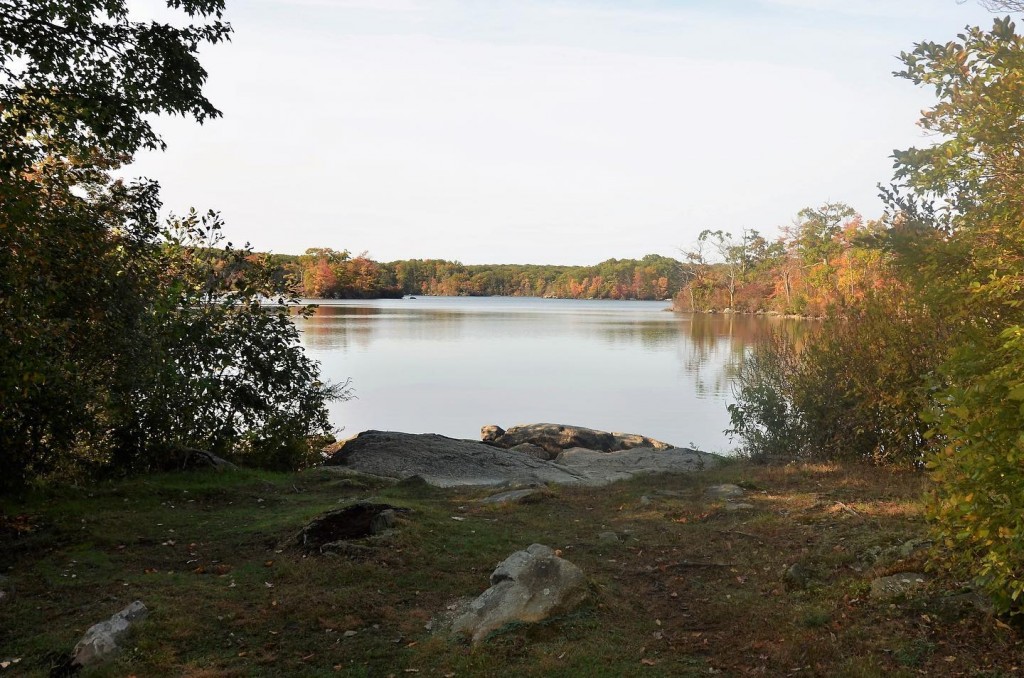 122045536 3779036935448429 1850553010627031946 N