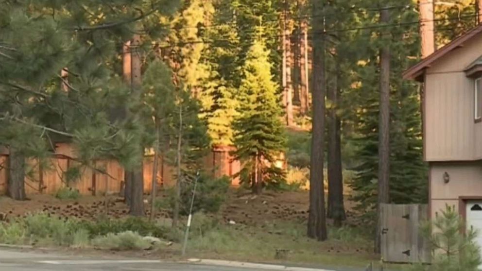 Bearattack 1624881507178 Hpmain 16x9 992