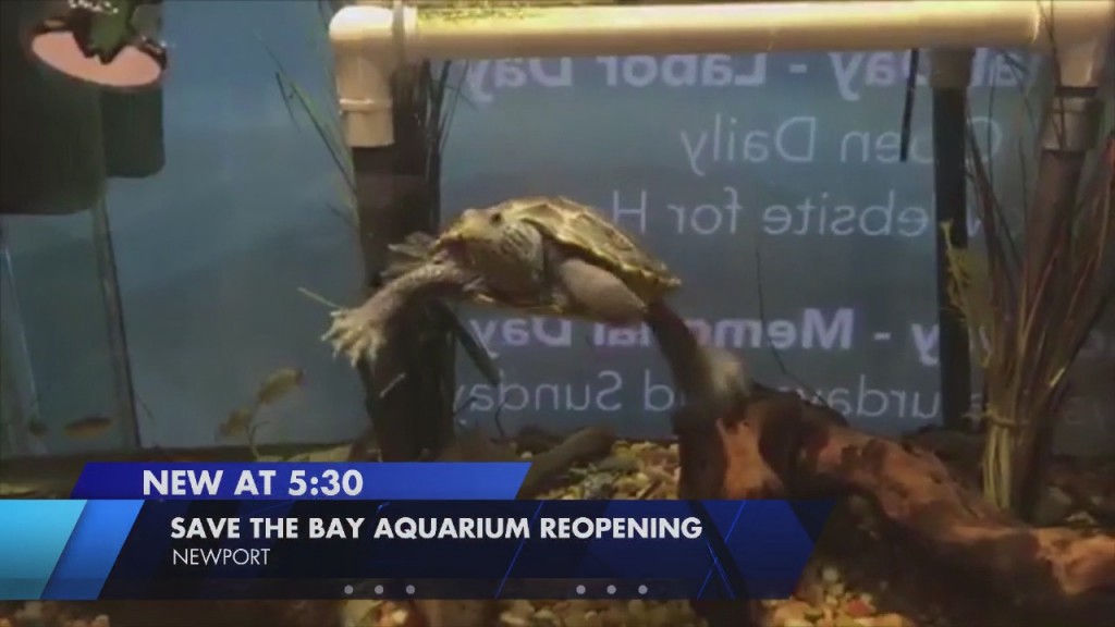 Save The Bay’s Exploration Center & Aquarium Reopening