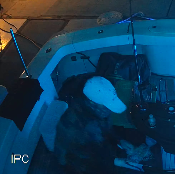 South Kingstown Fishing Thief