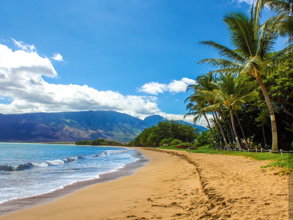 Mgn 1280x960 00424p00 Whglp