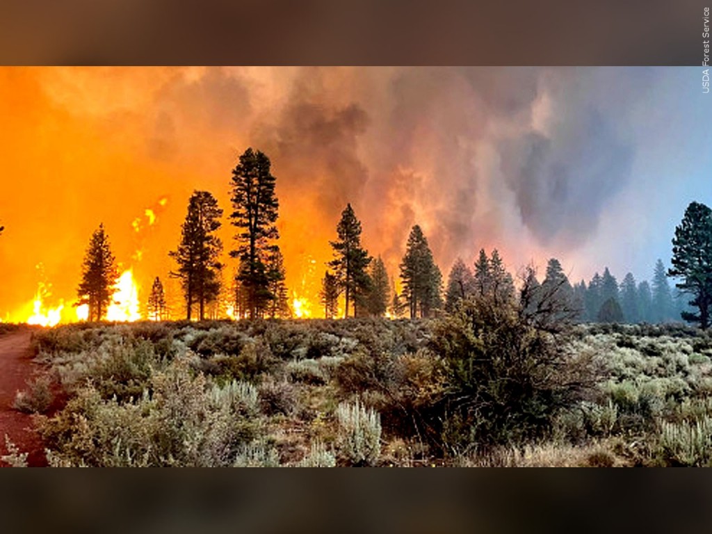 Mgn 1280x960 10716p00 Jceui