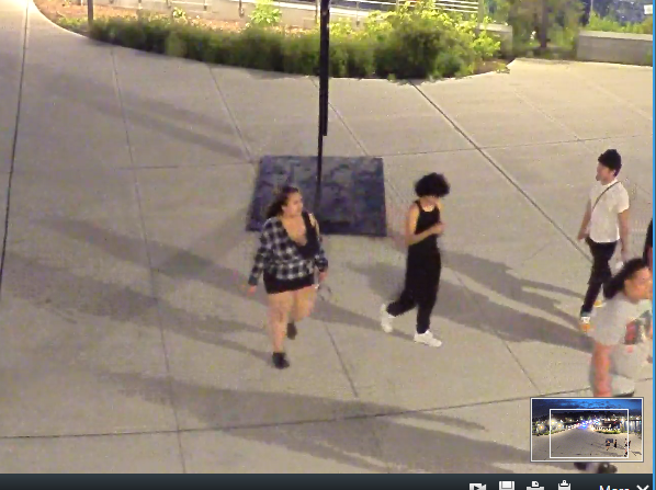 Thumbnail Railing Damage Suspects 1