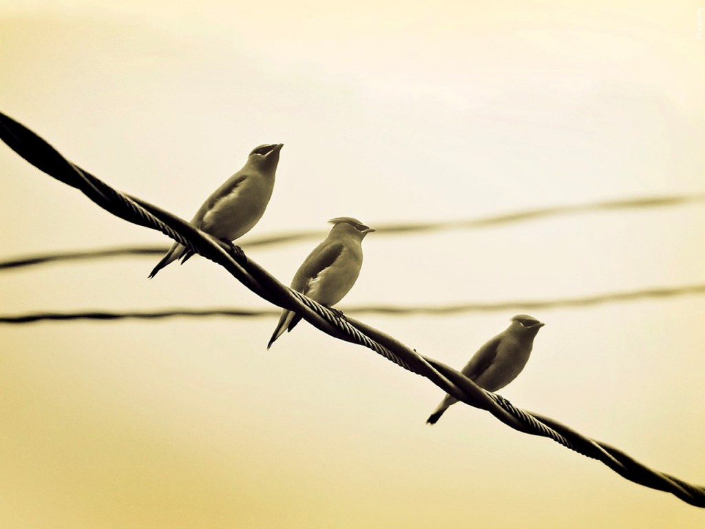 Mgn 1280x960 60920p00 Zqdzk