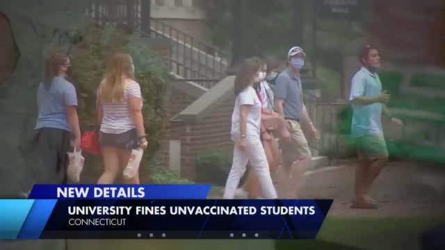 Quinnipiac University Fines