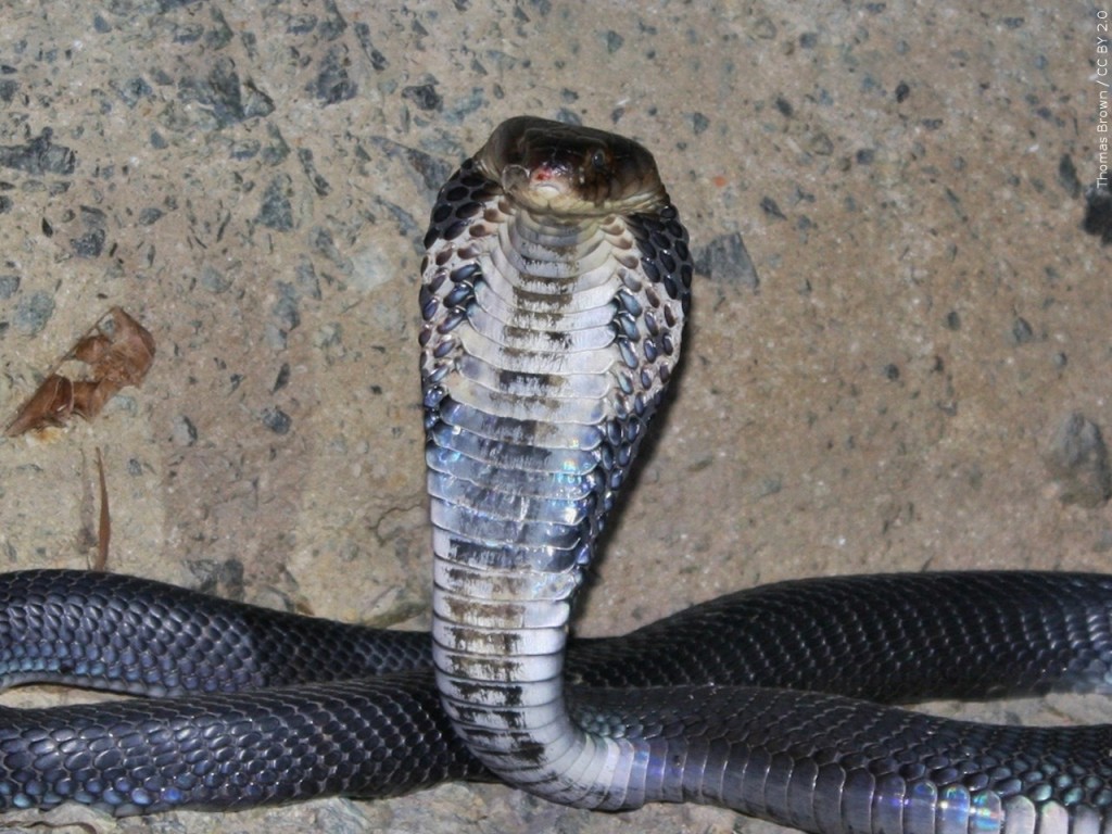 Mgn 1280x960 00123p00 Pmpmh