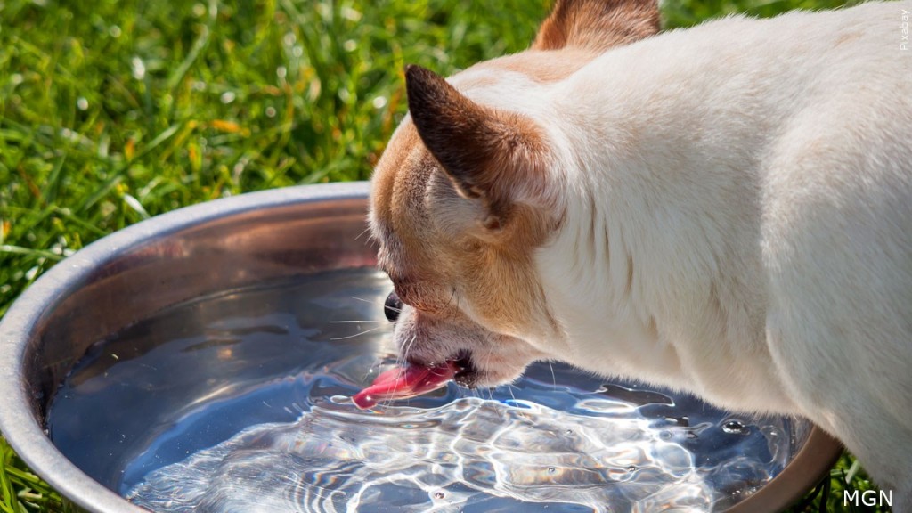 Mgn 1280x720 10515p00 Sjfen