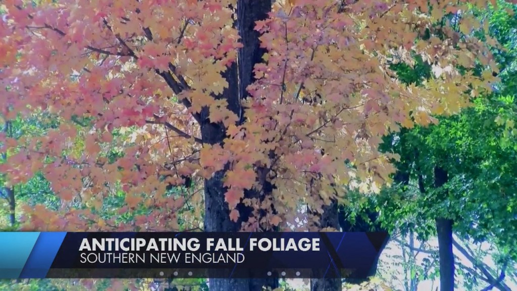 Rainy Summer Could Bring Late, But Spectacular Fall Foliage Season