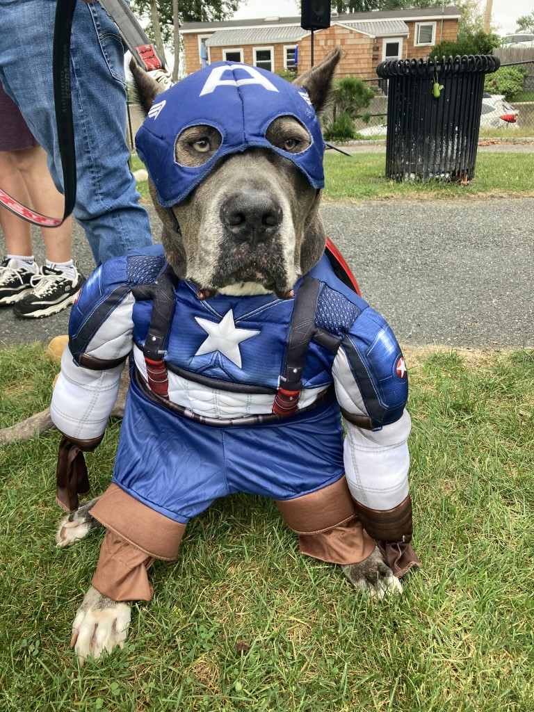 Smokey won first place as Captain America!