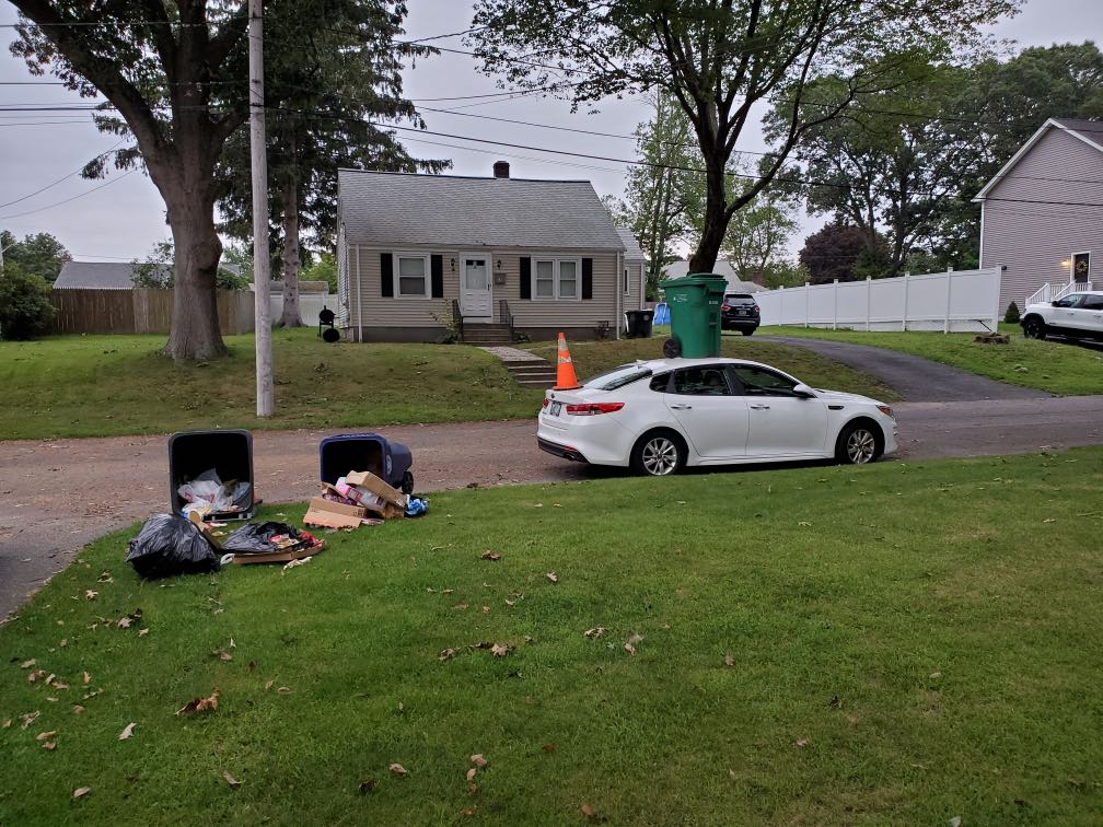 240186103 4388204317895142 482764738586777702 N