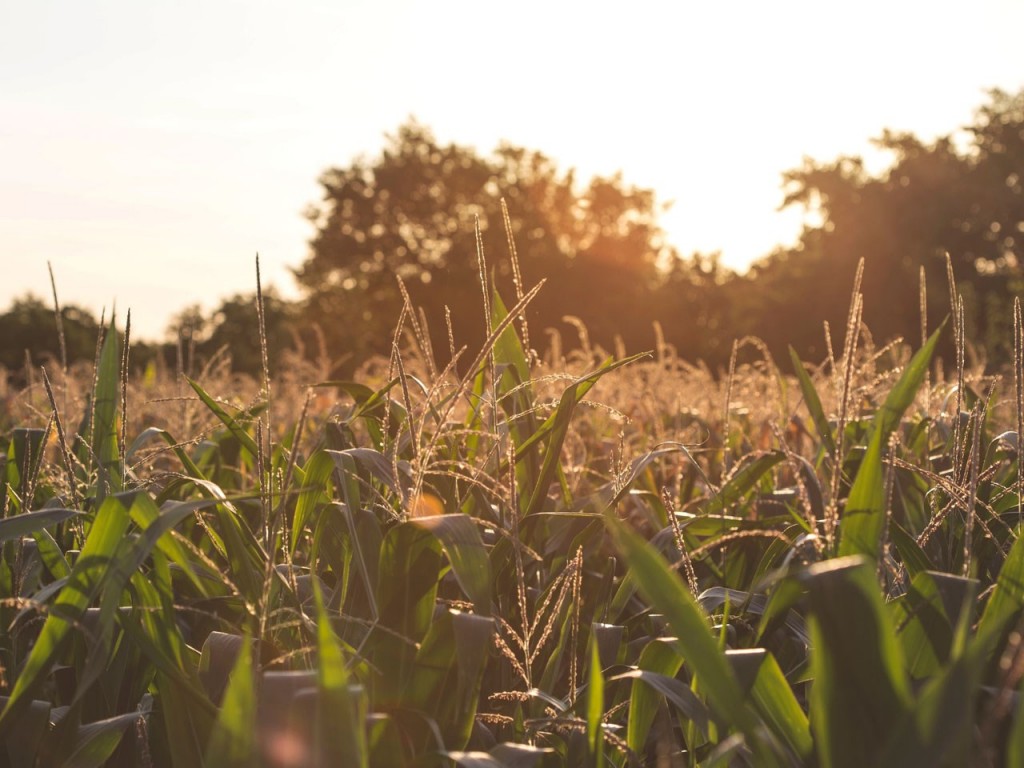 Mgn 1280x960 80604p00 Owzly