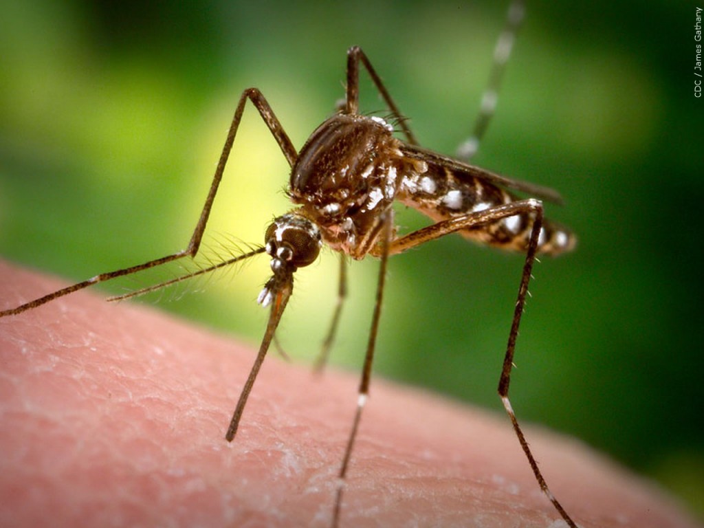 Mgn 1280x960 90830p00 Iqcfk