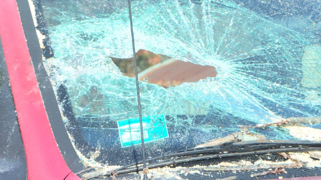 Healeys Farm North Kingstown 2