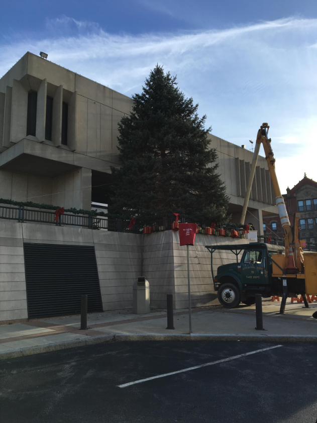 City Of Fall River 2021 Tree