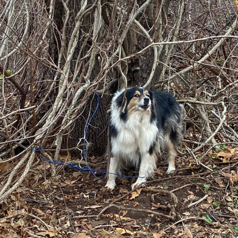 263214055 1958629540974897 7095104653061314745 N