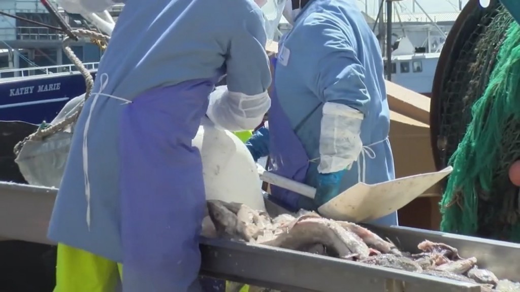 Rhode Island To Launch Year Long Local Seafood Marketing Campaign