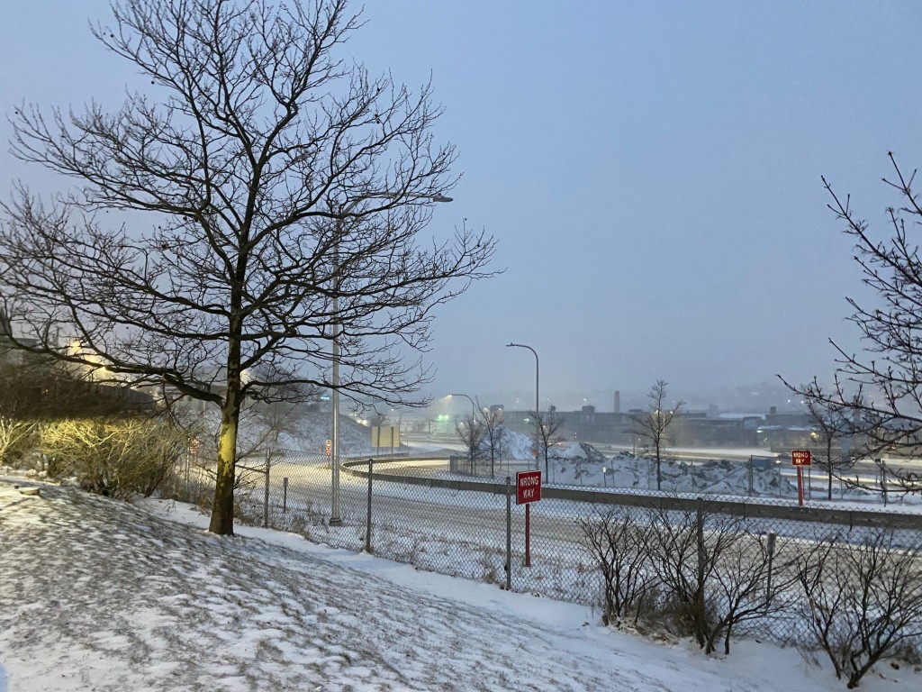 Providence Snow From Dominique Turner