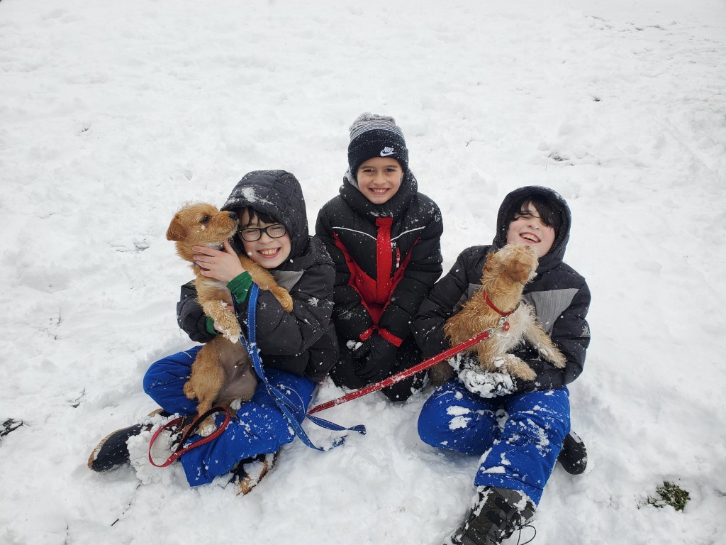 Snow Photo From Amanda J 2