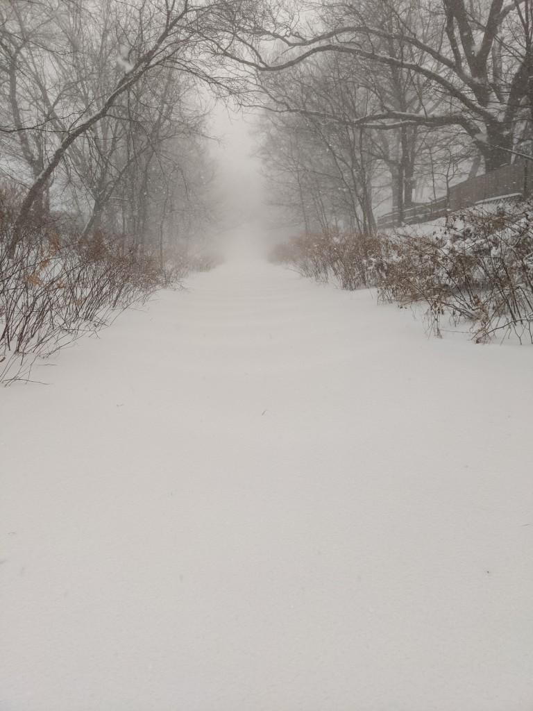 East Bay Bike Path At 11:45am From Dana Blake