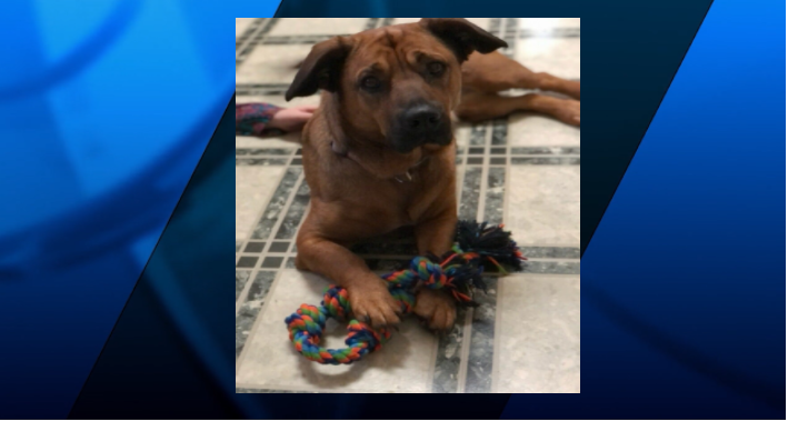 Screenshot 2022 02 18 055955