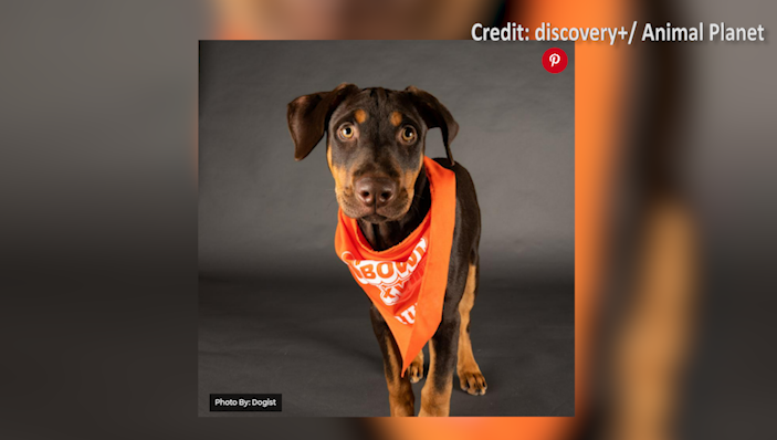 Screenshot 2022 02 10 120241